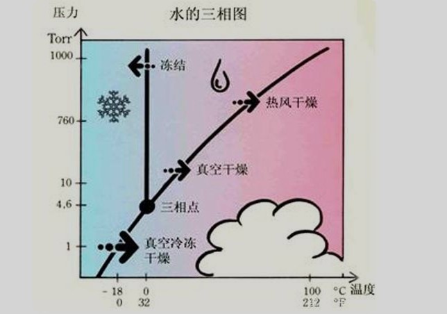冷凍干燥機要多久才可以凍干一批物料？